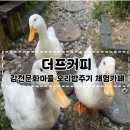 우정문화마을A | [부산 감천 카페] 감천문화마을 특색있는 오리먹이주기 카페 &#39;더프커피&#39; 내돈내산 후기
