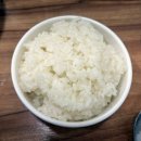 믿음반찬전문점 | [고성] 고성 물회 맛집 선영이네 물회전문점 후기