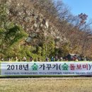 오도미 경관 숲 이미지