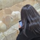 멍쥬 | 대전 서구 놀거리 데이트 추천 실내 동물원 마리앤쥬 여행 체험후기