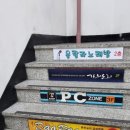 도토리군버섯양 이미지