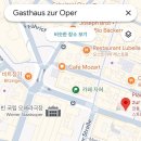 뮐레 | [오스트리아·비엔나 맛집] 풍향GO2 슈니첼 화제의 그곳 vs 오페라극장 현지인 맛집 비교 후기 🍺