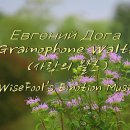 Евгений Дога - Gramophone Waltz (사랑의 왈츠) 이미지