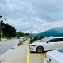 할리스커피양산