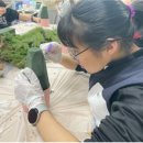 동아여자고등학교 이미지