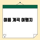 무주에코랜드 | 반려동물과 함께하는 캠핑장 추천 | 반려견과 떠나는 자연 속 힐링 여행지