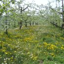 김해수 농장 이미지