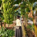 제주웨스트 이미지