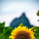 진안군농업기술센터 이미지