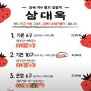 여수딸기모찌