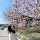 맥국길1 이미지