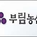 마미농산