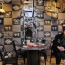 포천포차 이미지