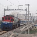 H4913 네이버블로그