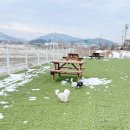 남악유치원 | [남악 애견카페] 목포남악 운동장있는 강아지 애견카페, 강아지 유치원 우다다 애견카페 후기