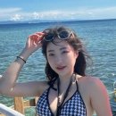 디프리투어 이미지