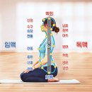 힐링 선 이미지