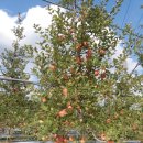 승기농장 이미지