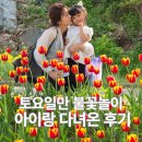 불꽃 | 아산 피나클랜드 4.18 토요일 방문기｜아이랑 불꽃놀이 후기 (튤립 상태 포함)