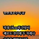 글마을 - 청주시 청원구 | 글마을