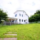 컴투펫 위탁보호센터 강원원주점 이미지