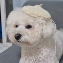 달뜨개방 | [사부작러 일기] 그동안의 뜨개기록 : 뜨린이 폭주