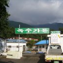아리랑주유소 Daum카페