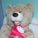 곰순이PC | 셀프맘 태교바느질 허그몽 애착인형 DIY만들기