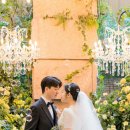 보타닉파크웨딩 이미지