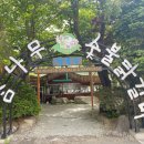 뉴효신맥반석 | 강원도 춘천 맥반석에 구워주는 숯불 닭갈비 참나무숯불닭갈비막국수