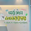 강아지랑 고양이 | 배곧 24시 동물병원, 강아지+고양이 검진 후기 (수술전문동물병원 추천👍🏻)
