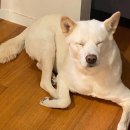 무지개민박 이미지