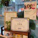 아네모네 | 포항꽃집:) 포항 남구 연일 리미드플로르 rimi.de.flore