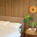 나무향기펜션&커피 | 제주 서귀포 남쪽 감성숙소 에어비앤비 2인 추천, 내돈내산 펜션 하효일 후기