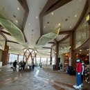 소노펠리체 컨트리클럽 비발디파크 이스트 | [골프:강원도 홍천]소노펠리체 CC 비발디파크 이스트 이용 후기