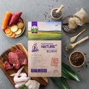 복실이네 애견 이미지