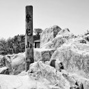 2017-01-0469