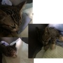 거제역 5번출구 앞 이미지