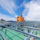 우진태양광발전소 이미지