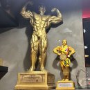 의정부헬스장H 이미지