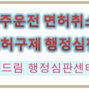 더두드림행정사사무소 이미지