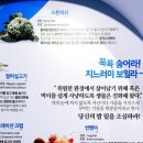 아쿠아1번지