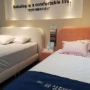경산에코환경 | 🛌 업그레이드된 편안함, **에코드림5(M)**로 느껴보세요!