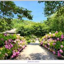 흙과 나무 Daum카페