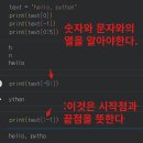 비전공자의 파이썬 기초문법 3강 후기｜출력, 변수, 인덱싱, 조건문까지 직접 해보다