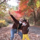 호박반 양승찬] 가을여행미션 이미지
