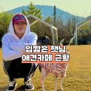 햇님슈퍼 - 전주시덕진구 | 입짧은햇님 파주 애견카페 사장 변신, 논란 이후 선택한 진솔한 행보와 매장 정보