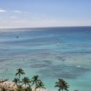 소연식품 | 하와이 7박9일 렌트없는 일정 요약(오아후섬, 렌트, 외식, 환전)