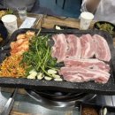 러블리펫 이미지