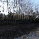 고흥골프장 이미지